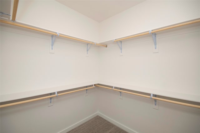 spacious closet with carpet flooring