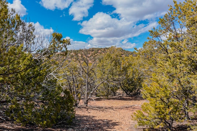 Listing photo 3 for 1953 Cerros Colorados Lot 105, Santa Fe NM 87501