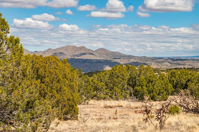 Listing photo 3 for TBD Hanuman, Cerrillos NM 87010