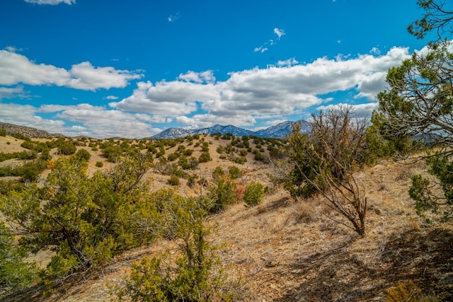 Listing photo 2 for 101 Sendero De Toho, Madrid NM 87010