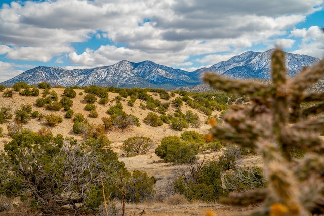 Listing photo 3 for 101 Sendero De Toho, Madrid NM 87010