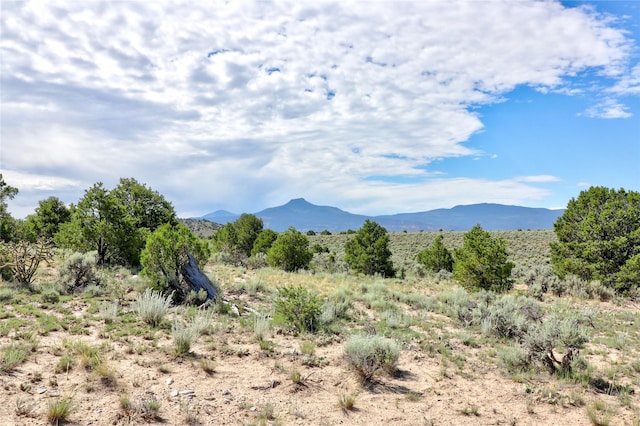 Listing photo 3 for TBD Mesa Prieta Rd, Youngsville NM 87064