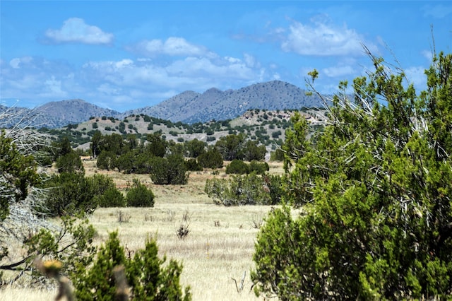 Listing photo 2 for 561 General Goodwin Rd, Cerrillos NM 87010