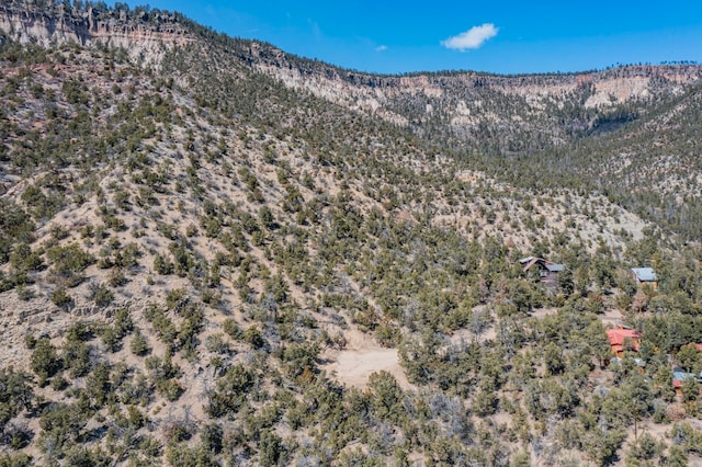 Listing photo 2 for 45A Banco Bonito, Jemez Springs NM 87124