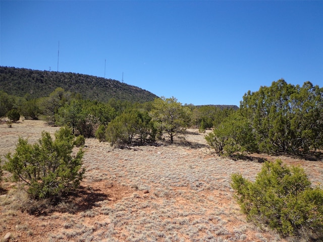 Listing photo 2 for Tract1B Camino Del Sol, Bernal NM 87569