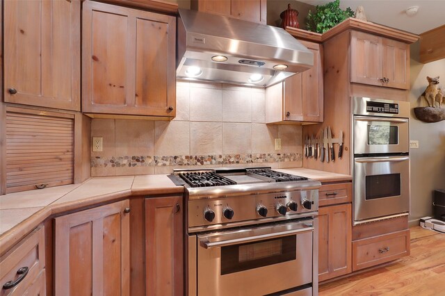 kitchen with tasteful backsplash, light wood-type flooring, sink, and stainless steel appliances