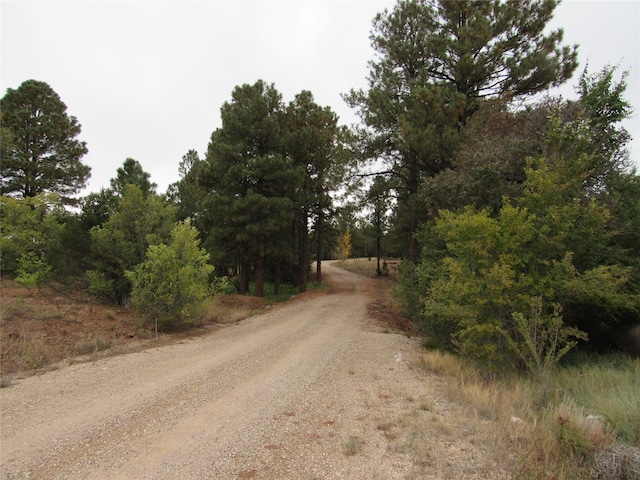 Listing photo 3 for 9 Avenida Mercedes, Pecos NM 87552