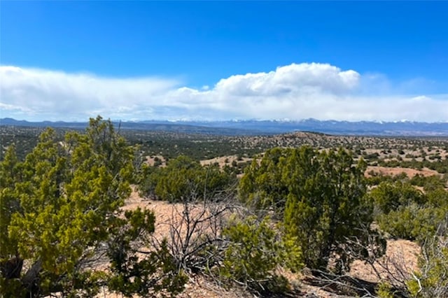 Listing photo 3 for 134 Vuelta Maria, Santa Fe NM 87506