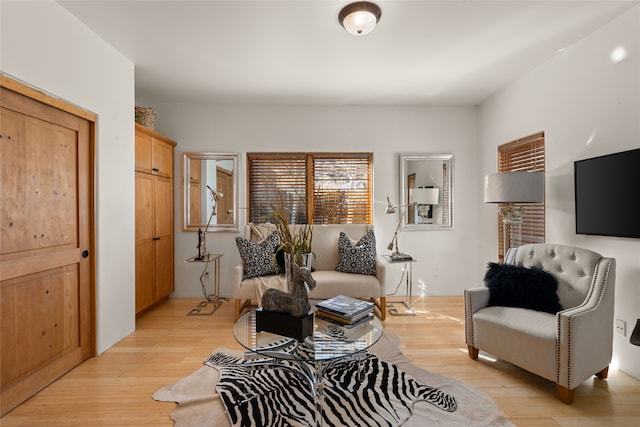 living room featuring light hardwood / wood-style flooring