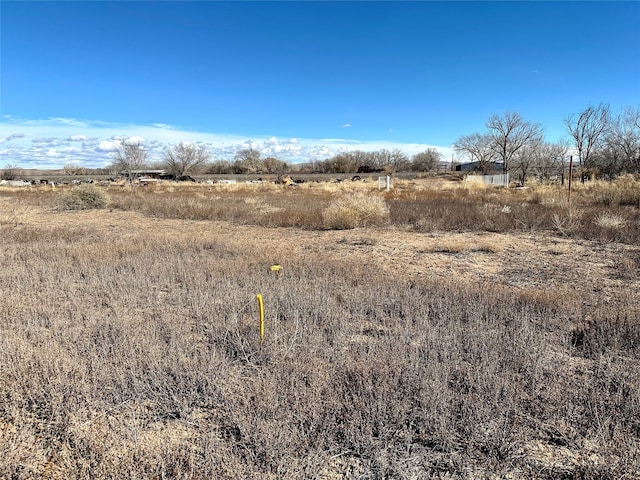 view of local wilderness featuring a rural view