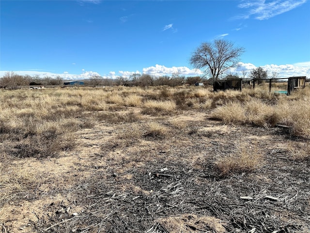 view of local wilderness with a rural view