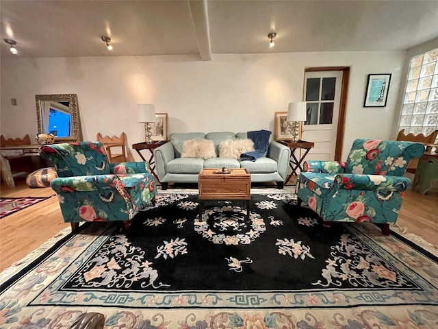 living room featuring hardwood / wood-style floors