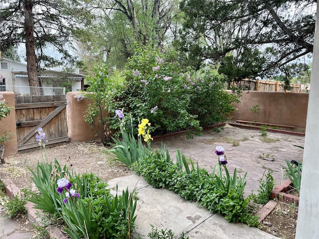 view of yard featuring a patio