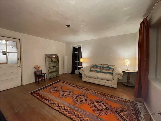 living room with hardwood / wood-style flooring