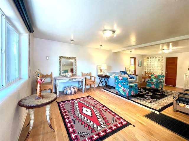 living room with hardwood / wood-style flooring