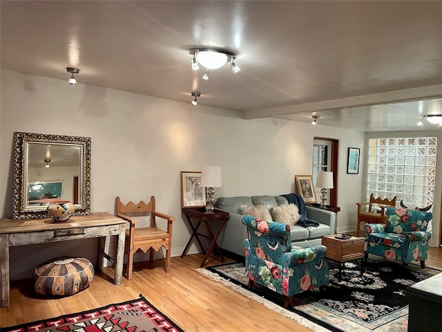 living room with hardwood / wood-style flooring