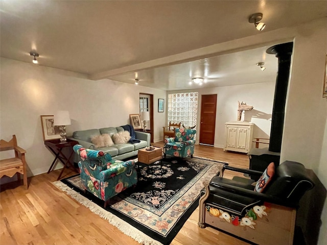 living room with light wood-type flooring and a wood stove