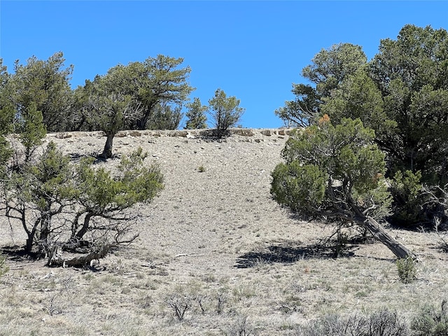 TBD Calle De Los Coyotes, Tierra Amarilla NM, 87575 land for sale