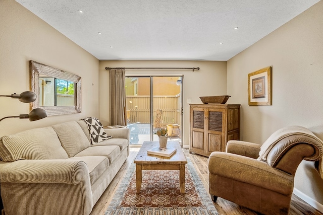 living room featuring a textured ceiling and wood-type flooring