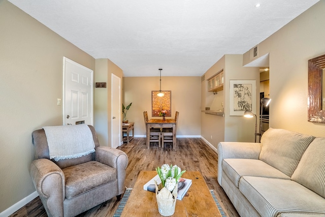 living room with wood-type flooring