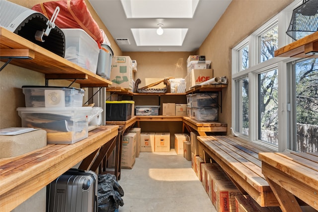 storage room with a skylight