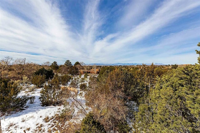 view of snowy landscape