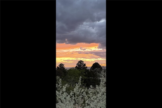 view of nature at dusk