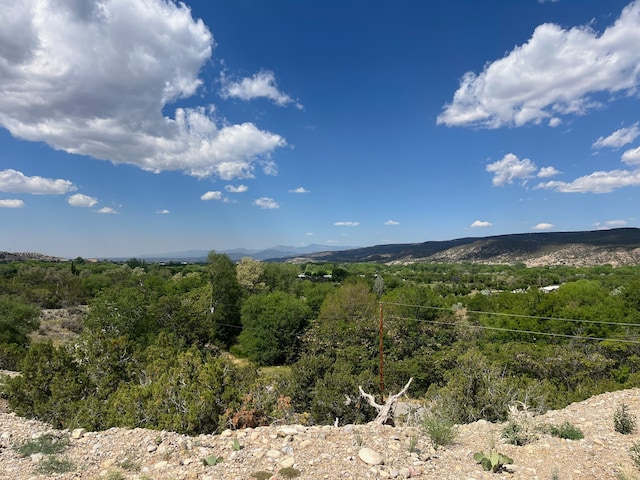 1378 State Rd 68, Velarde NM, 87582 land for sale