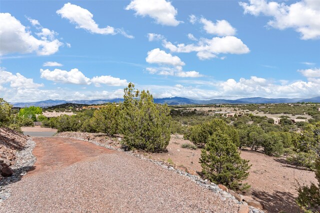 view of yard with a mountain view