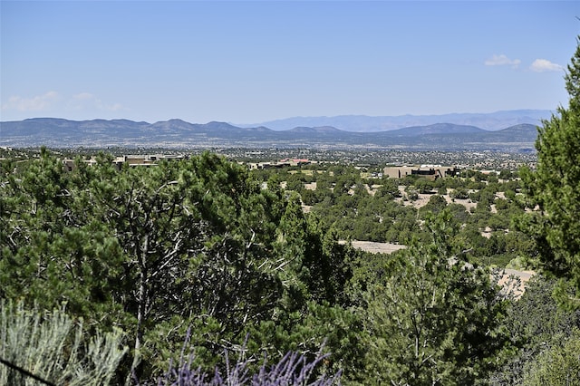 view of mountain feature