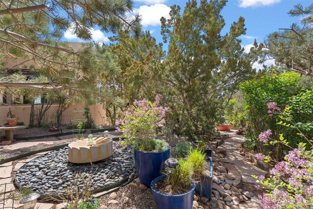 view of yard featuring a patio