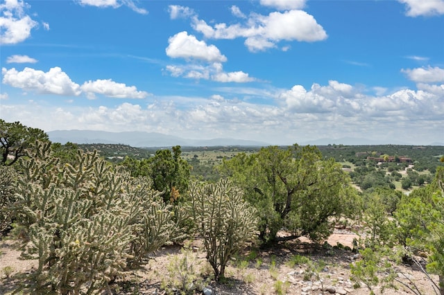 view of nature with a mountain view