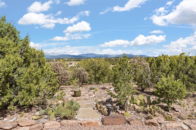 property view of mountains