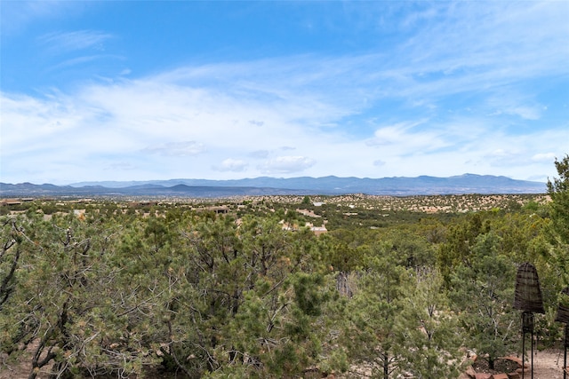 view of mountain feature