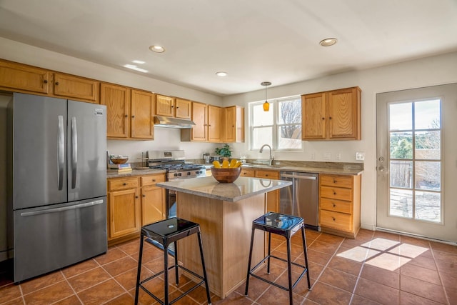 kitchen with under cabinet range hood, dark tile patterned flooring, appliances with stainless steel finishes, and a sink