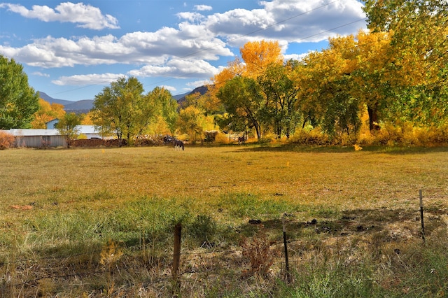 view of yard with a mountain view and a rural view