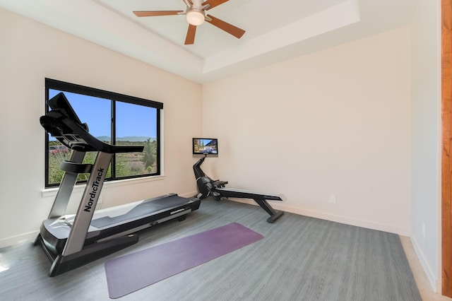 exercise room with a raised ceiling, ceiling fan, and wood-type flooring