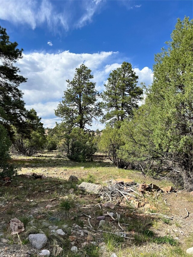 Listing photo 2 for 0 A Parkview Hls, Los Ojos NM 87551