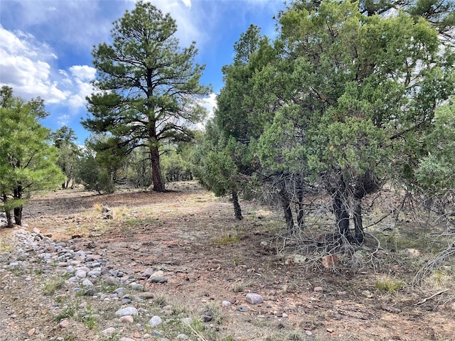 Listing photo 3 for 0 A Parkview Hls, Los Ojos NM 87551