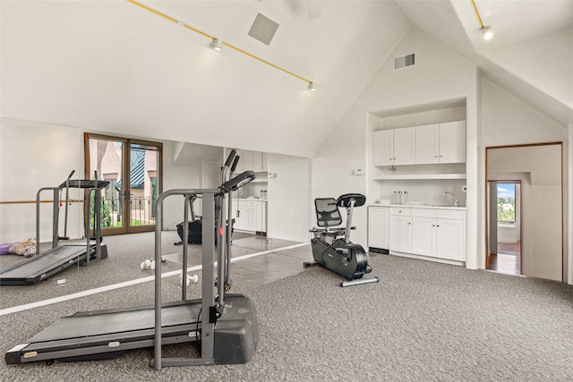 workout room with rail lighting, carpet, sink, and high vaulted ceiling