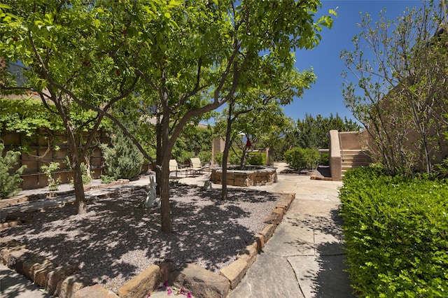 view of yard featuring a patio area