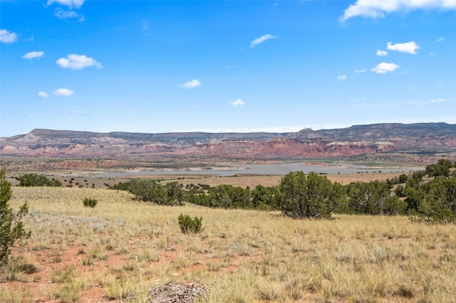 0 Shining Stone, Youngsville NM, 87510 land for sale