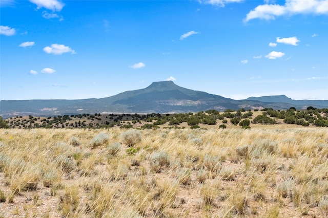 Listing photo 2 for 0 Shining Stone, Youngsville NM 87510