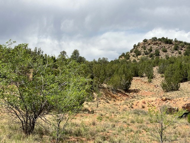 Listing photo 2 for 2.07ACRES Nm 3, Villanueva NM 87583