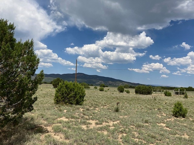 LOTS18-22 Shea Ave, Las Vegas NM, 87701 land for sale