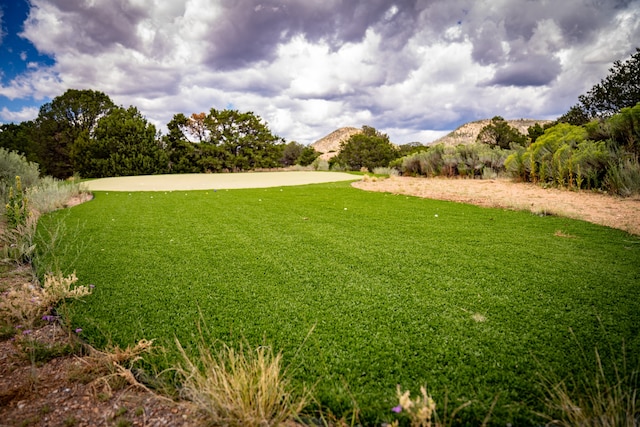 view of yard featuring a mountain view