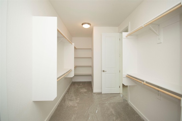 spacious closet featuring carpet floors