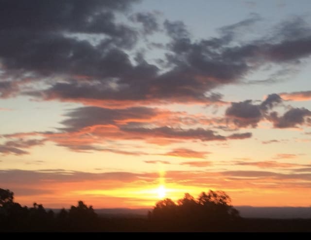 view of nature at dusk