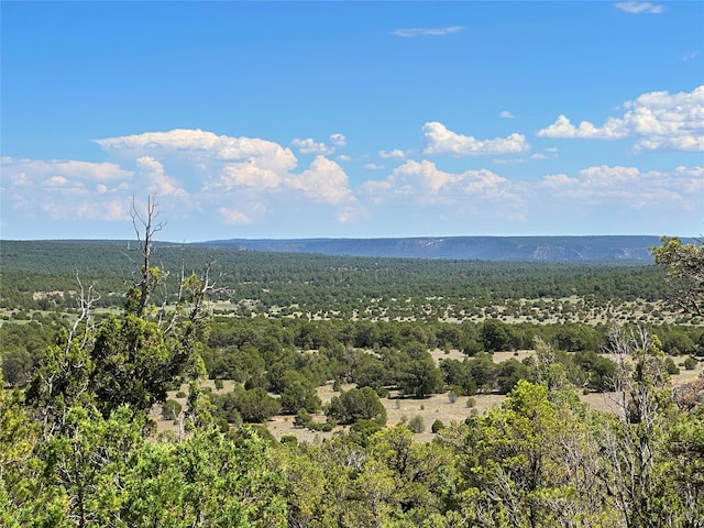 LOT7 Tierra De Dios, Rowe NM, 87562 land for sale