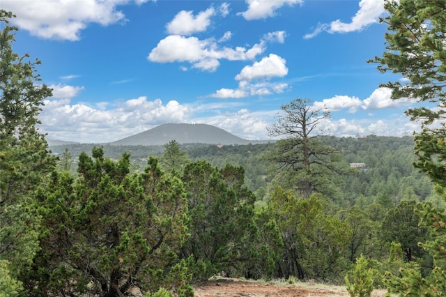 87 Quartz Trl, Santa Fe, NM 87505 - view of mountain background featuring a heavily wooded area